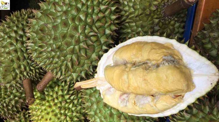 Sầu riêng ri6 chín tự nhiên