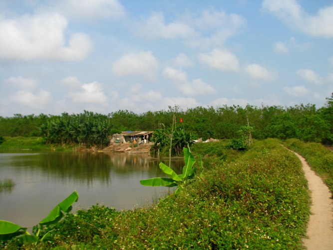 Ngôi nhà tạm của gia đình ông Vươn