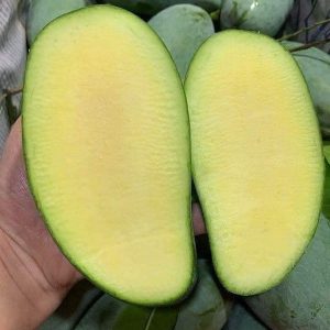 xoài đeo hạt lép